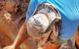 Daae faz reparo emergencial em adutora no Distrito Industrial
